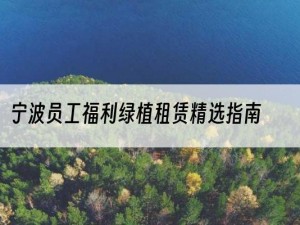 宁波员工福利绿植租赁精选指南