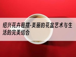 绍兴花卉租摆-美丽的花盆艺术与生活的完美结合