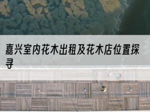 嘉兴室内花木出租及花木店位置探寻