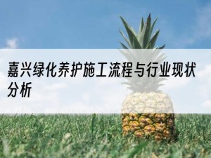 嘉兴绿化养护施工流程与行业现状分析
