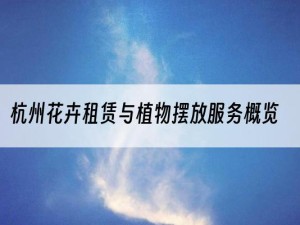 杭州花卉租赁与植物摆放服务概览