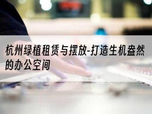 杭州绿植租赁与摆放-打造生机盎然的办公空间