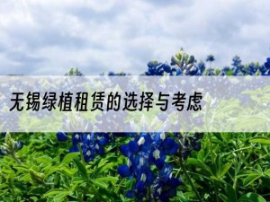 无锡绿植租赁的选择与考虑