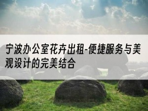 宁波办公室花卉出租-便捷服务与美观设计的完美结合
