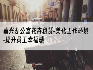 嘉兴办公室花卉租赁-美化工作环境-提升员工幸福感