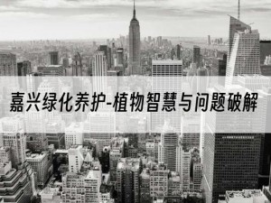 嘉兴绿化养护-植物智慧与问题破解