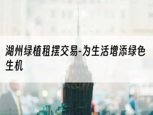 湖州绿植租摆交易-为生活增添绿色生机