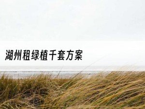 湖州租绿植千套方案