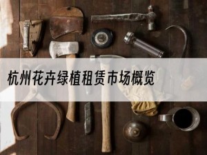 杭州花卉绿植租赁市场概览