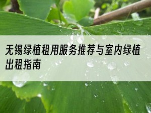 无锡绿植租用服务推荐与室内绿植出租指南
