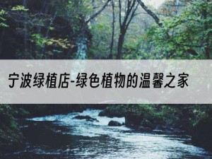 宁波绿植店-绿色植物的温馨之家