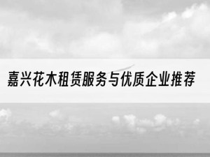 嘉兴花木租赁服务与优质企业推荐
