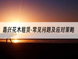 嘉兴花木租赁-常见问题及应对策略