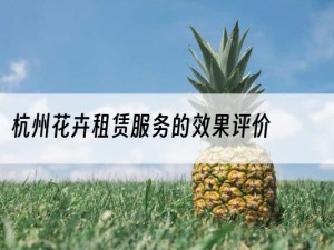 杭州花卉租赁服务的效果评价