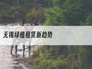 无锡绿植租赁新趋势