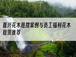 嘉兴花木租摆案例与员工福利花木租赁推荐