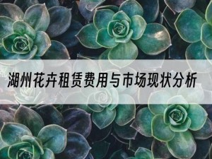湖州花卉租赁费用与市场现状分析