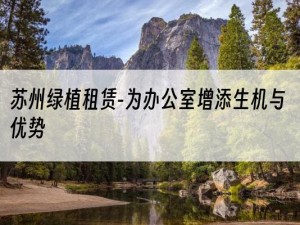 苏州绿植租赁-为办公室增添生机与优势