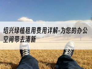 绍兴绿植租用费用详解-为您的办公空间带去清新