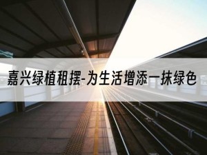 嘉兴绿植租摆-为生活增添一抹绿色