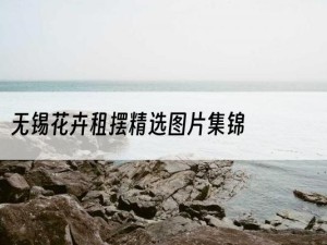 无锡花卉租摆精选图片集锦