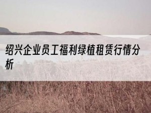 绍兴企业员工福利绿植租赁行情分析