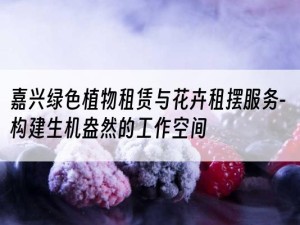 嘉兴绿色植物租赁与花卉租摆服务-构建生机盎然的工作空间