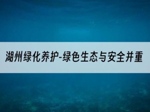 湖州绿化养护-绿色生态与安全并重