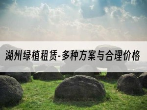 湖州绿植租赁-多种方案与合理价格