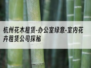 杭州花木租赁-办公室绿意-室内花卉租赁公司探秘