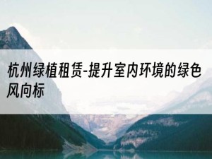 杭州绿植租赁-提升室内环境的绿色风向标