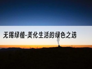 无锡绿植-美化生活的绿色之选