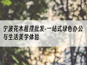 宁波花木租摆批发-一站式绿色办公与生活美学体验