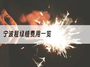 宁波租绿植费用一览