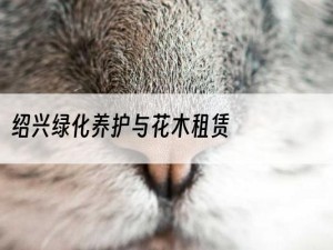 绍兴绿化养护与花木租赁