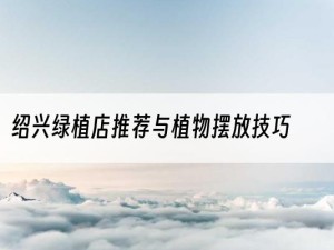 绍兴绿植店推荐与植物摆放技巧
