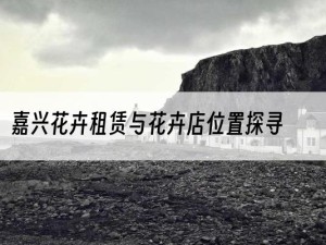 嘉兴花卉租赁与花卉店位置探寻
