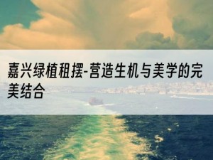 嘉兴绿植租摆-营造生机与美学的完美结合