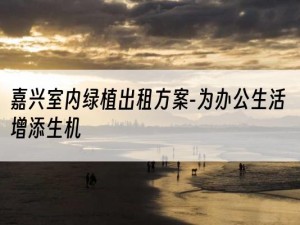 嘉兴室内绿植出租方案-为办公生活增添生机