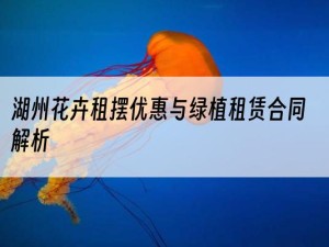 湖州花卉租摆优惠与绿植租赁合同解析