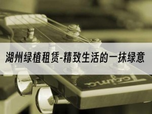 湖州绿植租赁-精致生活的一抹绿意