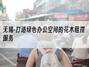 无锡-打造绿色办公空间的花木租摆服务