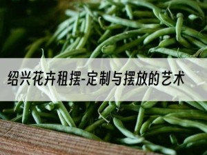 绍兴花卉租摆-定制与摆放的艺术