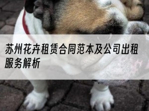 苏州花卉租赁合同范本及公司出租服务解析