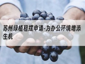 苏州绿植租摆申请-为办公环境增添生机