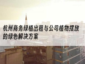 杭州商务绿植出租与公司植物摆放的绿色解决方案