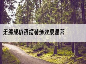 无锡绿植租摆装饰效果显著