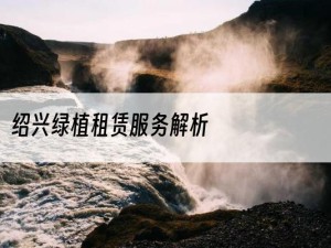 绍兴绿植租赁服务解析