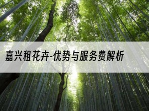 嘉兴租花卉-优势与服务费解析