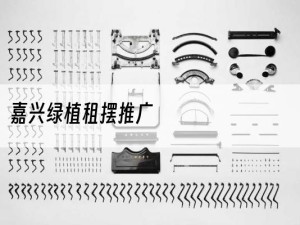 嘉兴绿植租摆推广